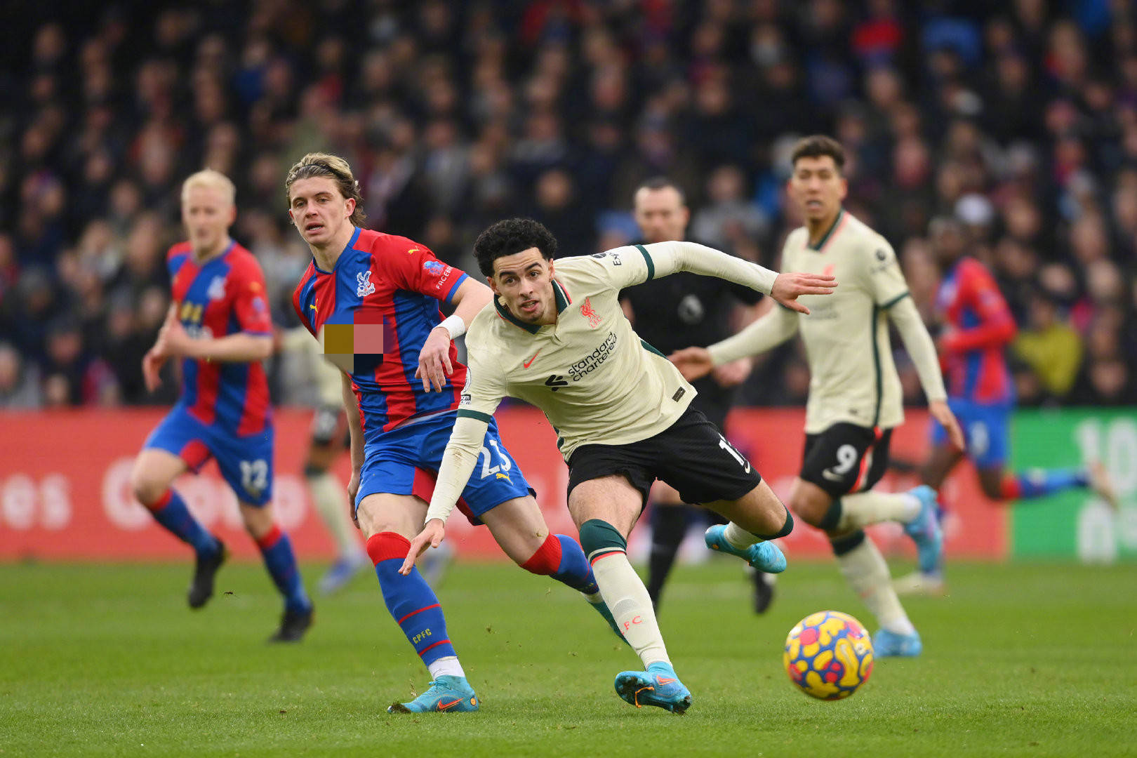 阿德尔曼 阿德尔曼